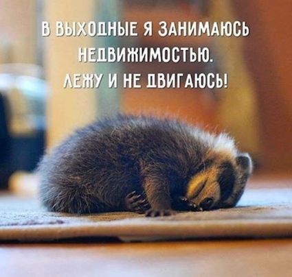Е Я ЗАНИМАЮОЬ