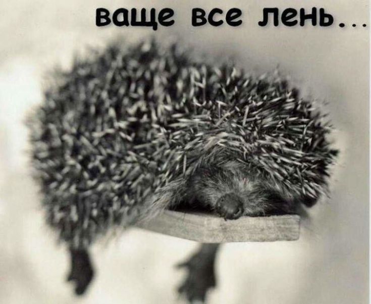 ваще ВСВ ЛЗНЬ