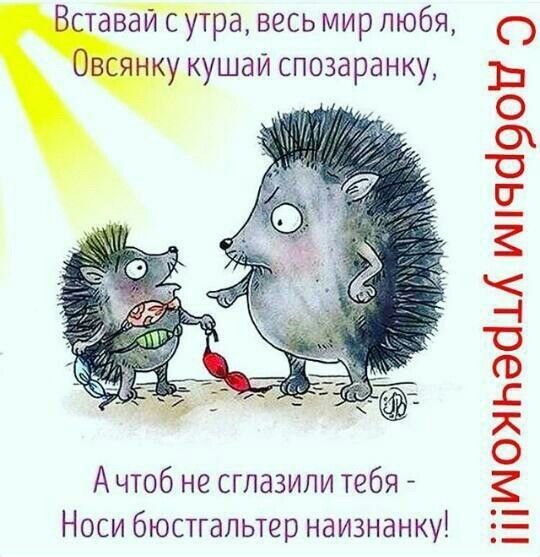тавЖГсутра весь мир любя укушаи спозаранку А чтоб не сглазипи тебя Носи бюстгальтер наизнанку іііщохьебм щпча9огі 3