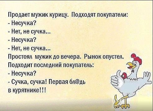 Продает мужик курицу Подхпдят покупатеди Несучка Нет не сучка Несучка Нет не сучка Простоял мужик до вечера Рынок опустеА Подходит последний покупатель Несучка Сучка сучка Первая 6АДЬ в куртнике
