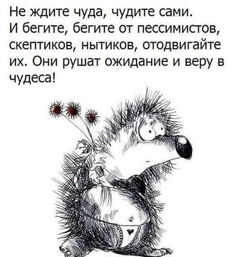Не ждите чуда чудите сами И бегите бегите от пессимистов скептиков нытиков отодвигайте их Они рушат ожидание и веру в чудеса