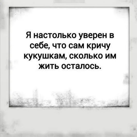 Т я настолько уверен в себе что сам кричу кукушкам сколько им жить осталось