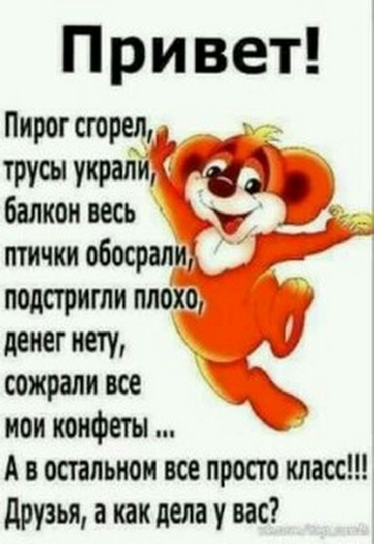 Привет Пирог сгорел _ _ ТРУСЫ украли балкон весь _ __ птички обосрали _ подстригли плохо денег нету _ сожрали все нои конфеты А в остальном все просто класс друзья а как дела у вас
