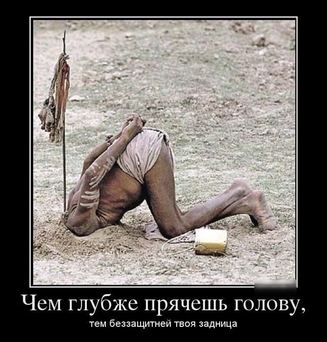 ЧеМ глубже прячешь голову тем беззащитней твоя задница