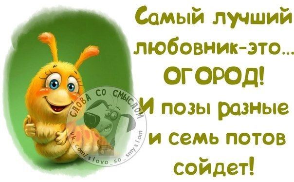 Самый лучший любовник это ОГОРОД позы разные и семь потов сойдет