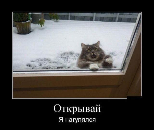 Открывай Я нагуляпся