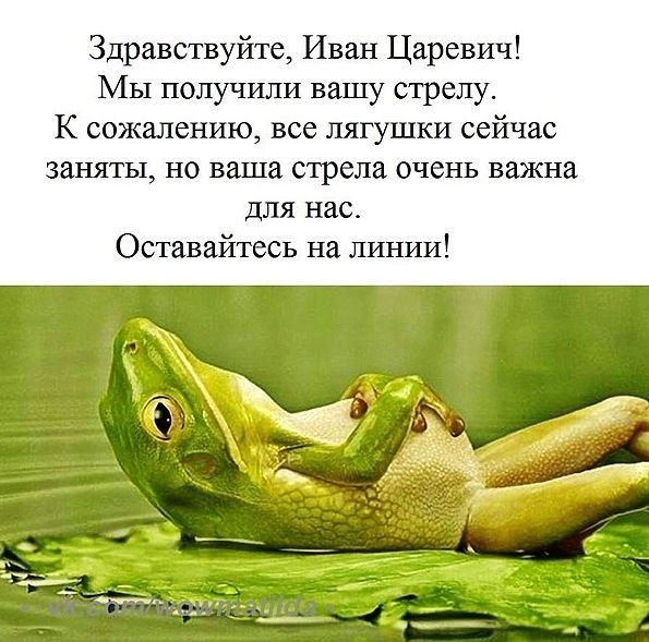 Здравствуйте Иван Царевич Мы получили вашу стрелу К сожалению все лягушки сейчас заняты но ваша стрела очень важна для нас О авайтесь на линии