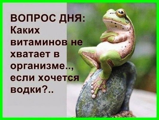 витамино хватает в организме если хочет _ водки