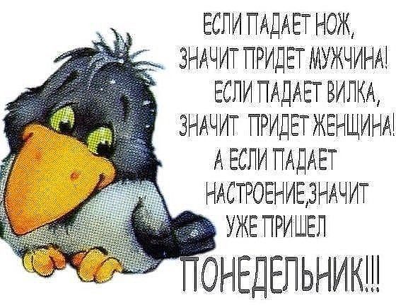 ЕСЛИГАДАЕТНОЖ ЗНАЧИТГРИДЕТМУЖЧИНМ ЕСЛ ТАДАЕТВИЛКА ЗНАЧИТ ридётжгнщинм АЕС ПАДАЕТ НАСТРОЕНИЕЗНАЧИТ УЖЕПРИШЕЛ ОНЕДЕПЬНИК