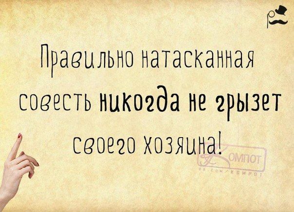 га Правильно натасканная соеесть никогда не грызет 2 0920 хозяина 3 у