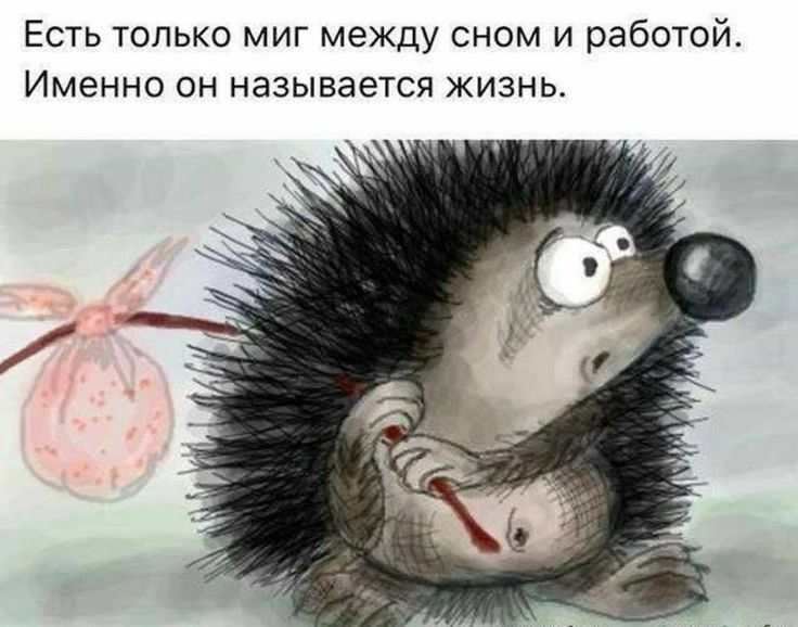 Есть только миг между сном и работой Именно он называется жизнь