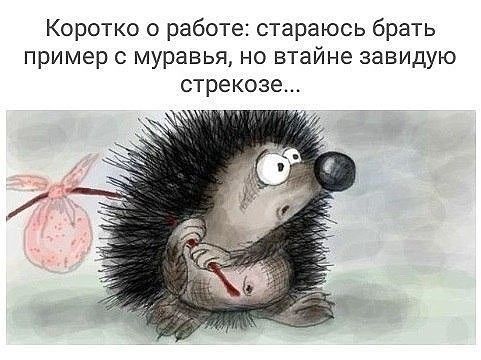 Коротко о работе стараюсь брать пример муравья но втайне завидую стрекоза