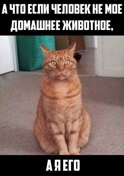 А ЧП ШШ ЧЕППВЕК НЕ МПЕ дПМАШЦЕЕ ЖИВППШЕ