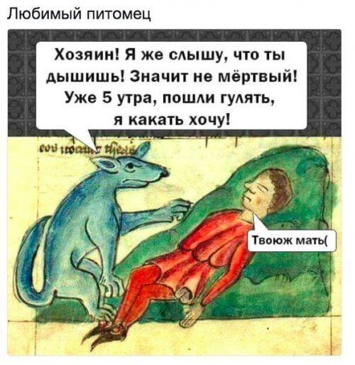 Любимый питомец Хозяин Я же сАышу что ты дышишь Значит не мёртвый Уже 5 утра пошли гулять и какать хочу