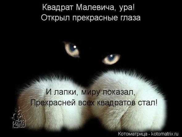 Квадрат Малевича ура Открыл прекрасные глаза _ ратов етап Котоматрицз поготаш
