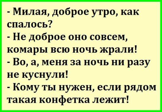 Милая доброе утро как спалось Не доброе оно совсем комары всю ночь жрали Во а меня за ночь ни разу не куснули Кому ты нужен если рядом такая конфетка лежит