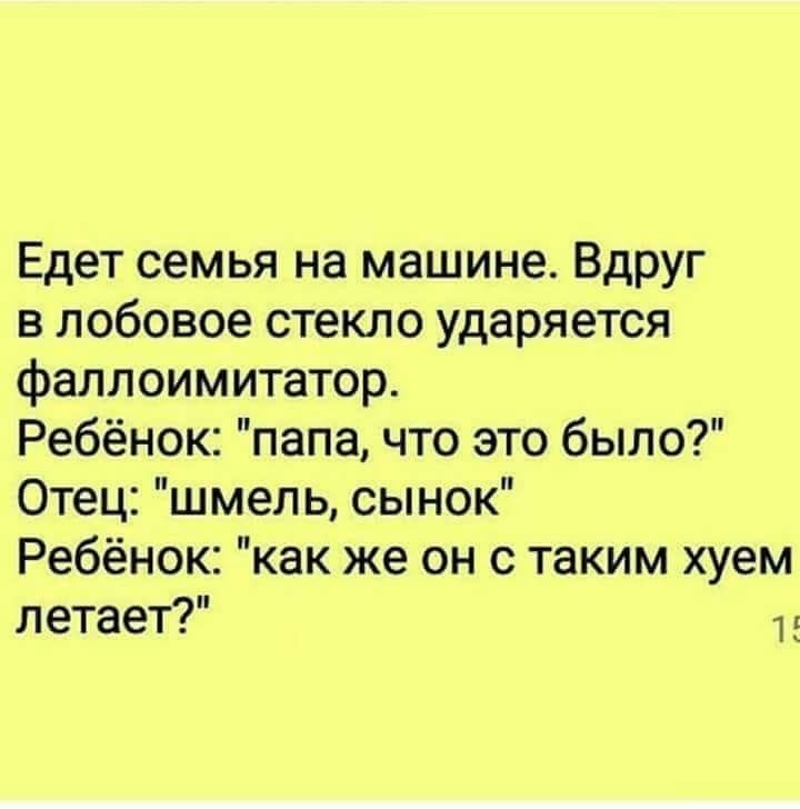 Едет семья на машине Вдруг в лобовое стекло ударяется фаллоимитатор Ребёнок папа что это было Отец шмель сынок Ребёнок как же он с таким хуем летает 1 д