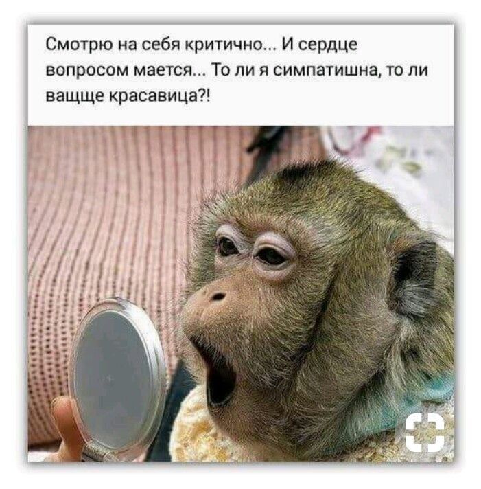 Смотрю на себя критично И сердце вопросом мается То ли я симпатишна то ли ващще красавица т 1 т П ТТ