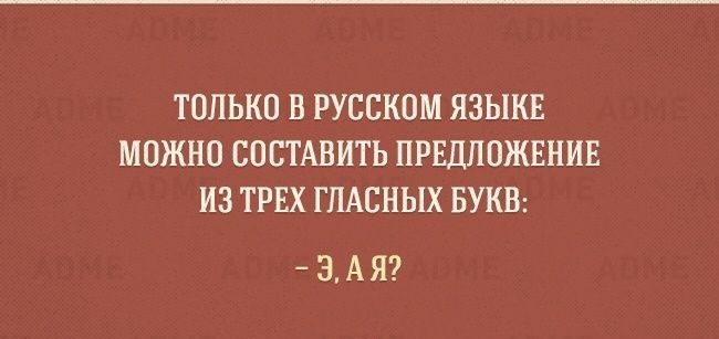 ТОЛЬКО В РУССКОМ ЯЗЫКЕ МОЖНО СОСТАВИТЬ ПРЕДЛОЖЕНИЕ ИЗ ТРЕХ ГЛАСНЫХ БУКВ 3АЯ