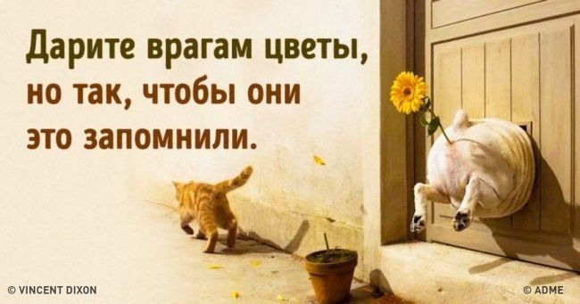 Дарите врагам цветы но так чтобы они это запомнили щнсвнт шхон