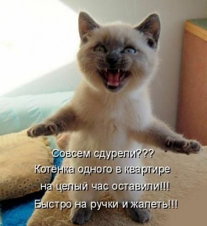 н цейыи час ост пи БЬстро на ручки и жалеть