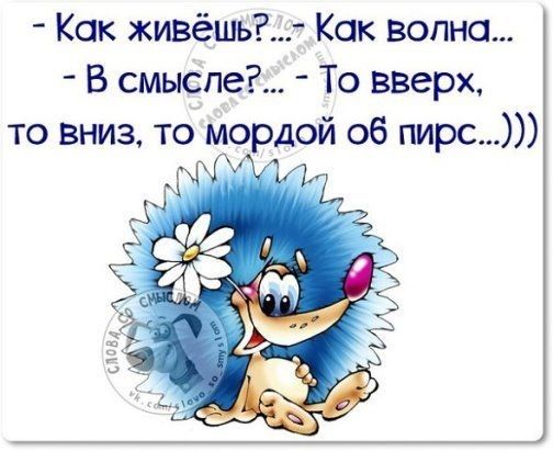 Как живёшь Как волна В смысле То вверх то вниз то мордой об пирс М