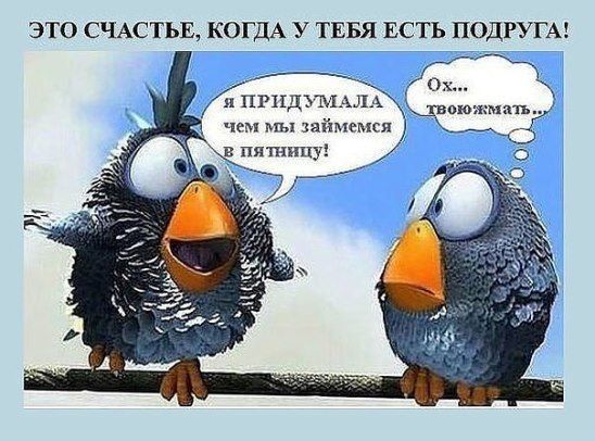 ЭТО СЧАСТЬЕ КОГДА У ТЕБЯ ЕСТЬ ПОДРУГА ипгпдъмыы чем мы займемся Шиииу _