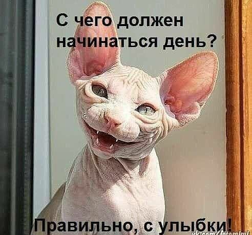 С чего должен нфинаться день