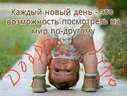 ЖіЧ