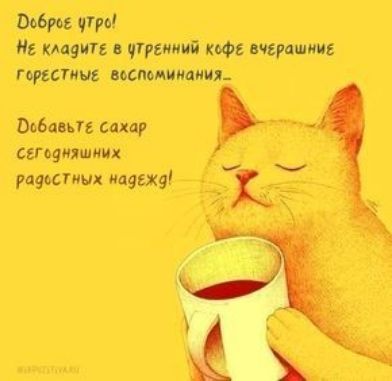 Ист ищи ппц то 1