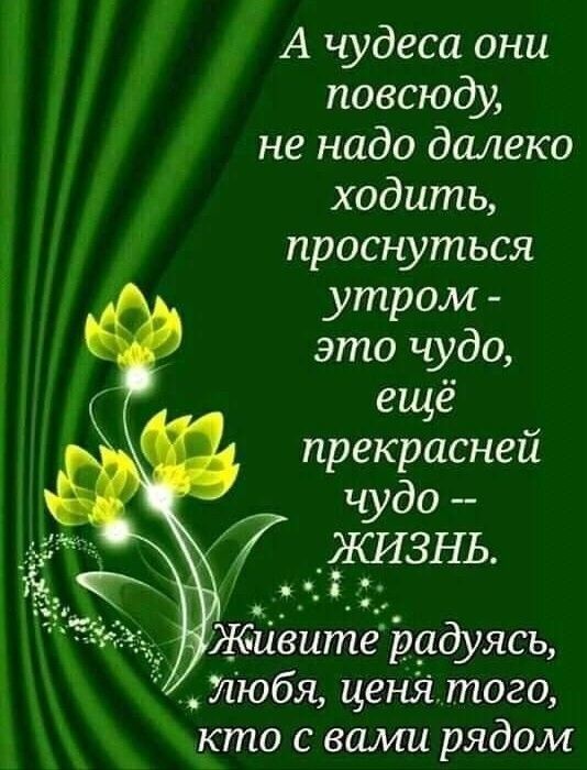 А чудеса они повсюду не надо далеко ходить проснуться утром это чудо ещё прекрасней кто с вами рядом