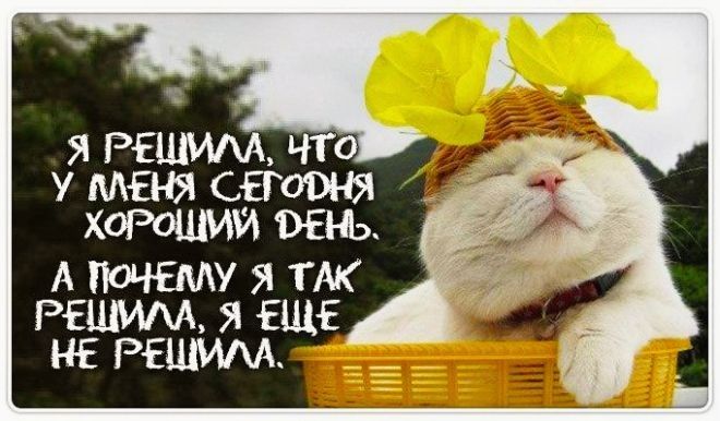 у МЕНЯ свговш ХОРОШИЙ тінь А У РЕМ Я ТЖ РЕЦМАА Я ЕЩЕ НЕ РЕШИАА