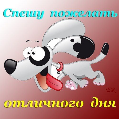 иии_ 020 дня