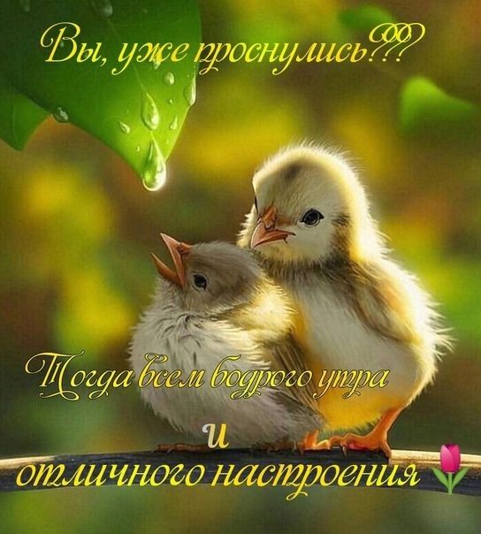 дД ЁЁ О ъ ЛДЁШЁЁФ ггК еь ид ФЦ нагадатидатам __ ШШ