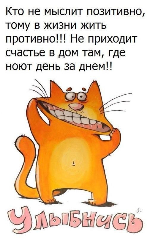 Кто не мыслит позитивно тому в жизни жить противно Не приходит счастье в дом там где ноют день за днем