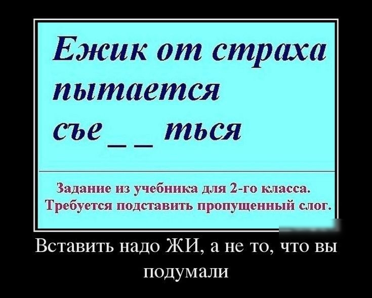 Ежик от страха пытается съе _ ться Вставить надо ЖИ а не то что вы подумали