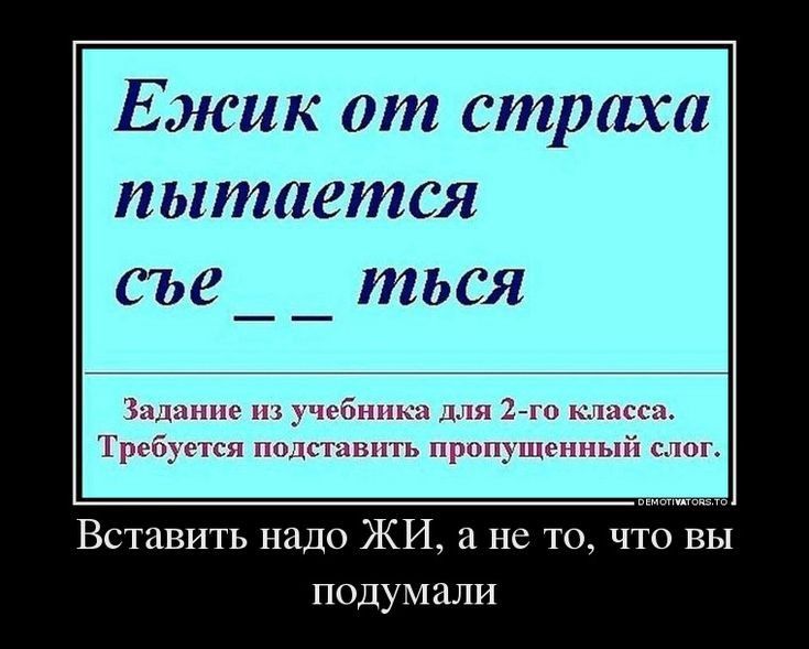 Ежик от страха пытается съе _ ться Вставить надо ЖИ а не то что вы подумали