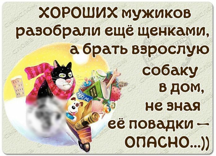 ХОРОШИХ мужиков разобрали ещё щенками а брать взрослую собаку в дом не зная её повадки опасно