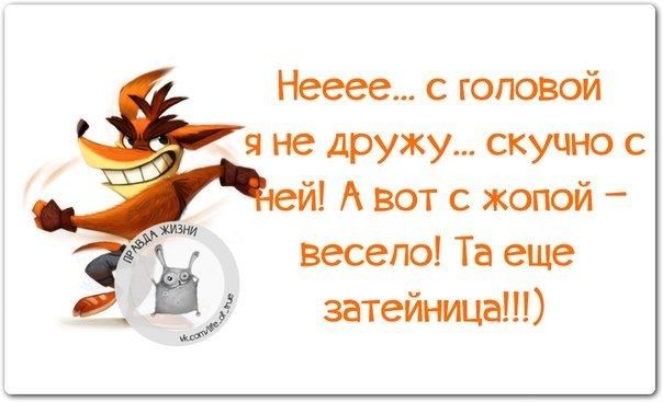 Негев с головой я не дружу скучно с й А вот с жопой весело Та виде затейша
