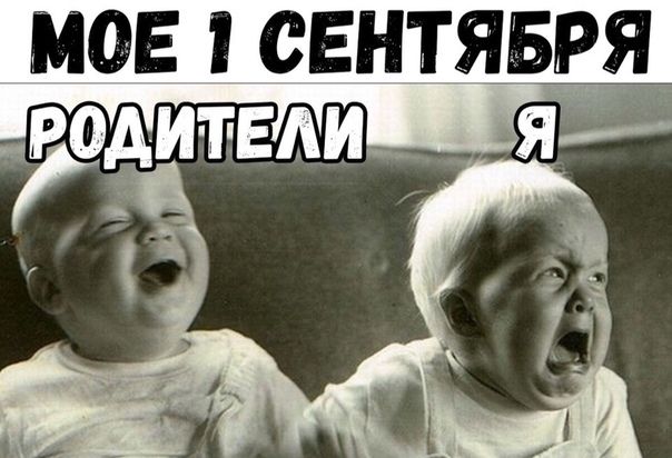 мак сентявря