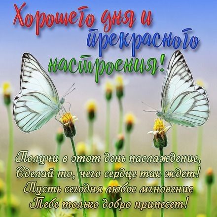 Шалин зттт день наслаждение Ёдетлй че т Зп Щудть Любде ИЪНОБЕНЫС ьгебеіЁЁоЁш дотроі