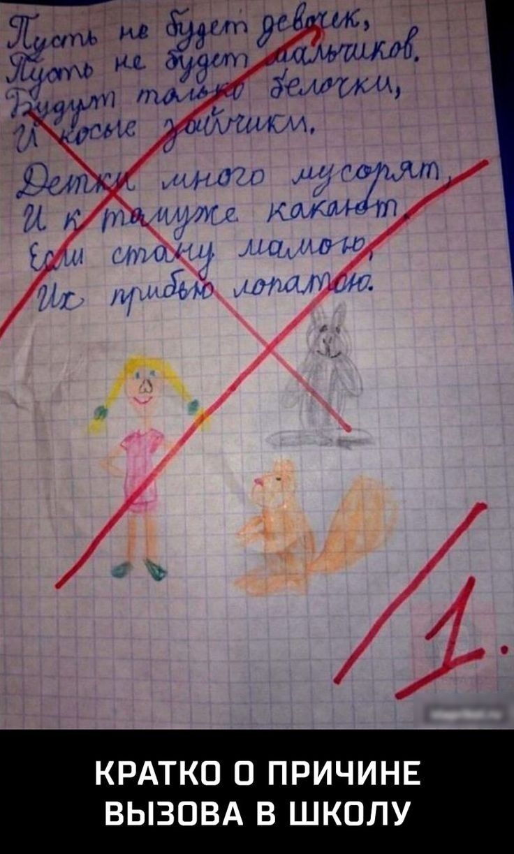 КРАТКО П ПРИЧИНЕ ВЫЗПВА В ШКОЛУ
