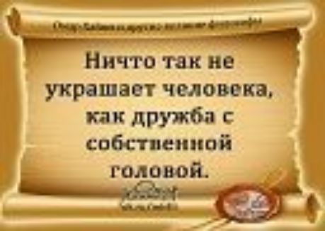 Ничто так не украшает топи дружба собст синод головой _ _ _А