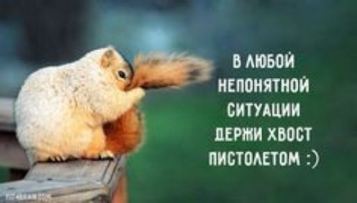 Ъ АЮБОЙ НЕП0ПЯТИ0И СИТУАЦИИ ПЕРМИ ХВОСТ ПИВТОАЕТВМ