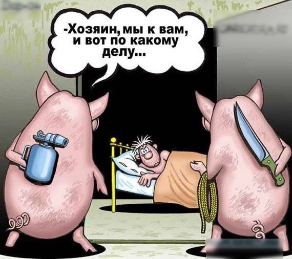 Хозяин мы к вам и вот по какому