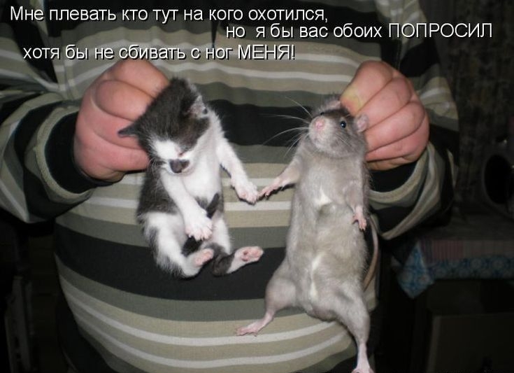 Мне плевать кто тут на кого охотился о я бы вас обоих РОСИП