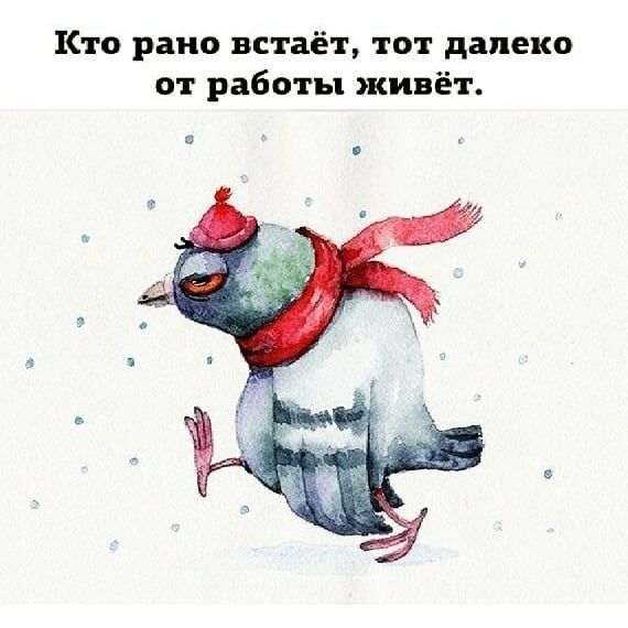 Кто рано встаёт тот далеко от работы живёт
