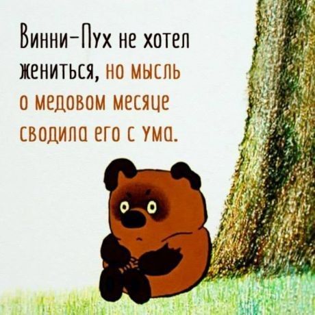 Винни Пух не хотел ЖЕНИТЬСЯ НО МЫЕПЬ МЕДОВОМ МЕСЯЦЕ ВОДИПО ЕГО УМО