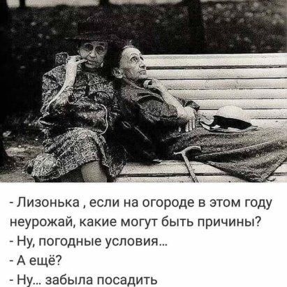 Лизонька если на огороде в этом году неурожай какие могут быть причины7 _ Ну погодные условия _ А ещё7 Ну забыла посадить