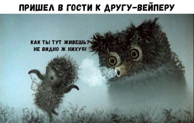 ПРИШЕА В ГОСТИ К дРУГУ ВЕЙПЕРУ КАК ТЫ ТУТ ЖИВЕШЪ НЕ видно Ж ИИХУЯ